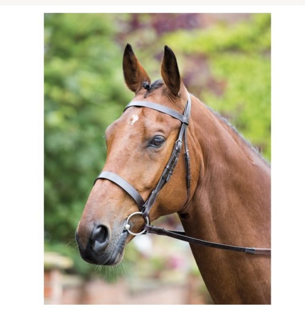 Shires Rossano Hunter Cavesson Bridle Havana X-Full