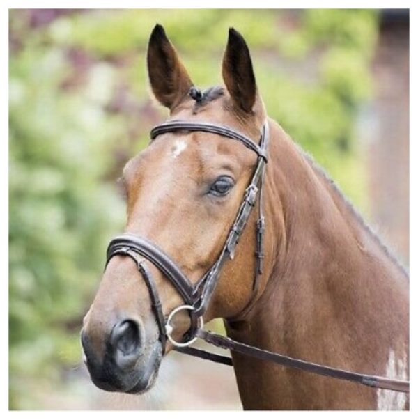 Shires Rossano Dressage bridle with flash