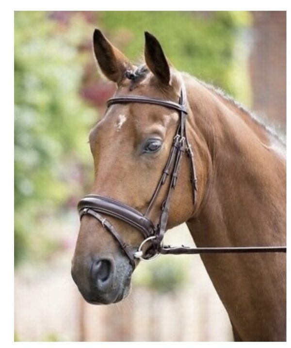 Shires Rossano Dressage Bridle with Crank